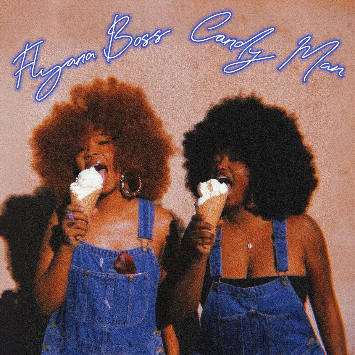 Album cover of Candyman