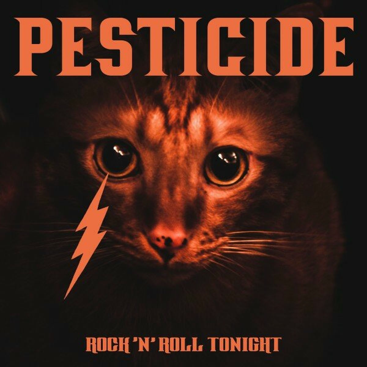 Album cover of Rock 'n' Roll Tonight