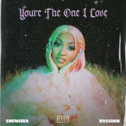 Cover of You're The One I Love
