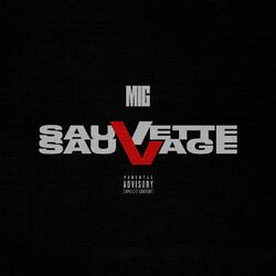 Cover of Sauvette Sauvage