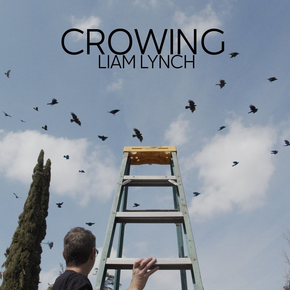 Album cover of Crowing