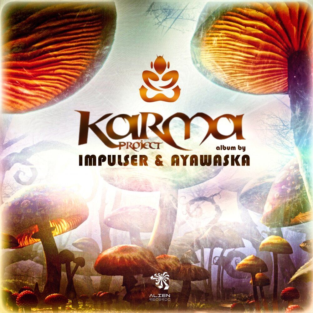 Picture of Karma Project