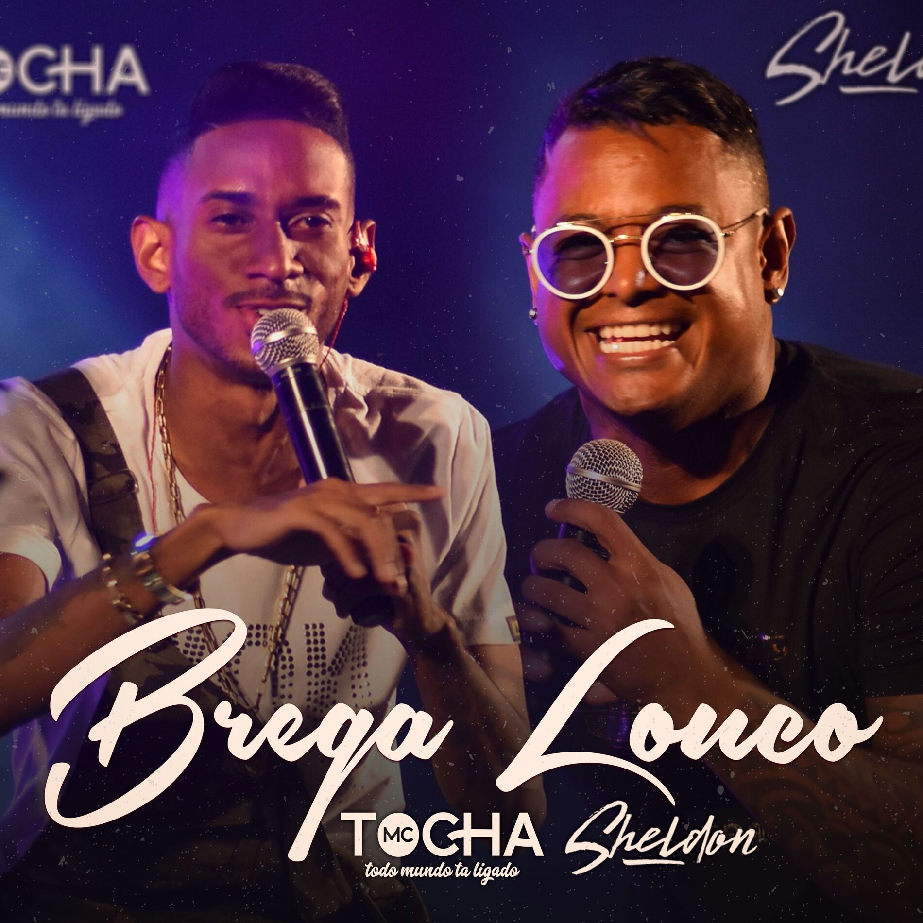 Album cover of Brega Louco