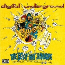 Cover of The Body-Hat Syndrome
