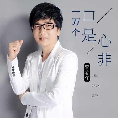 一万个口是心非 (DJ版)