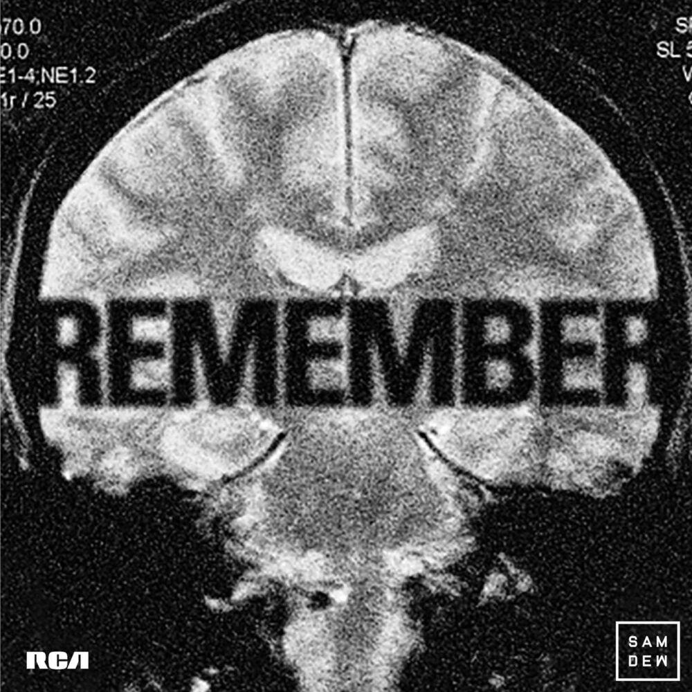 Picture of Remember