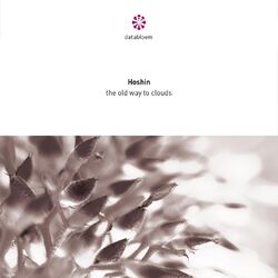 Cover of The Old Way to Clouds