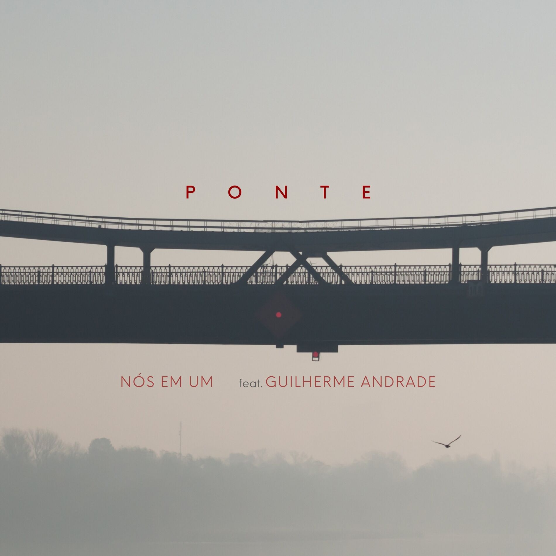 Album cover of Ponte