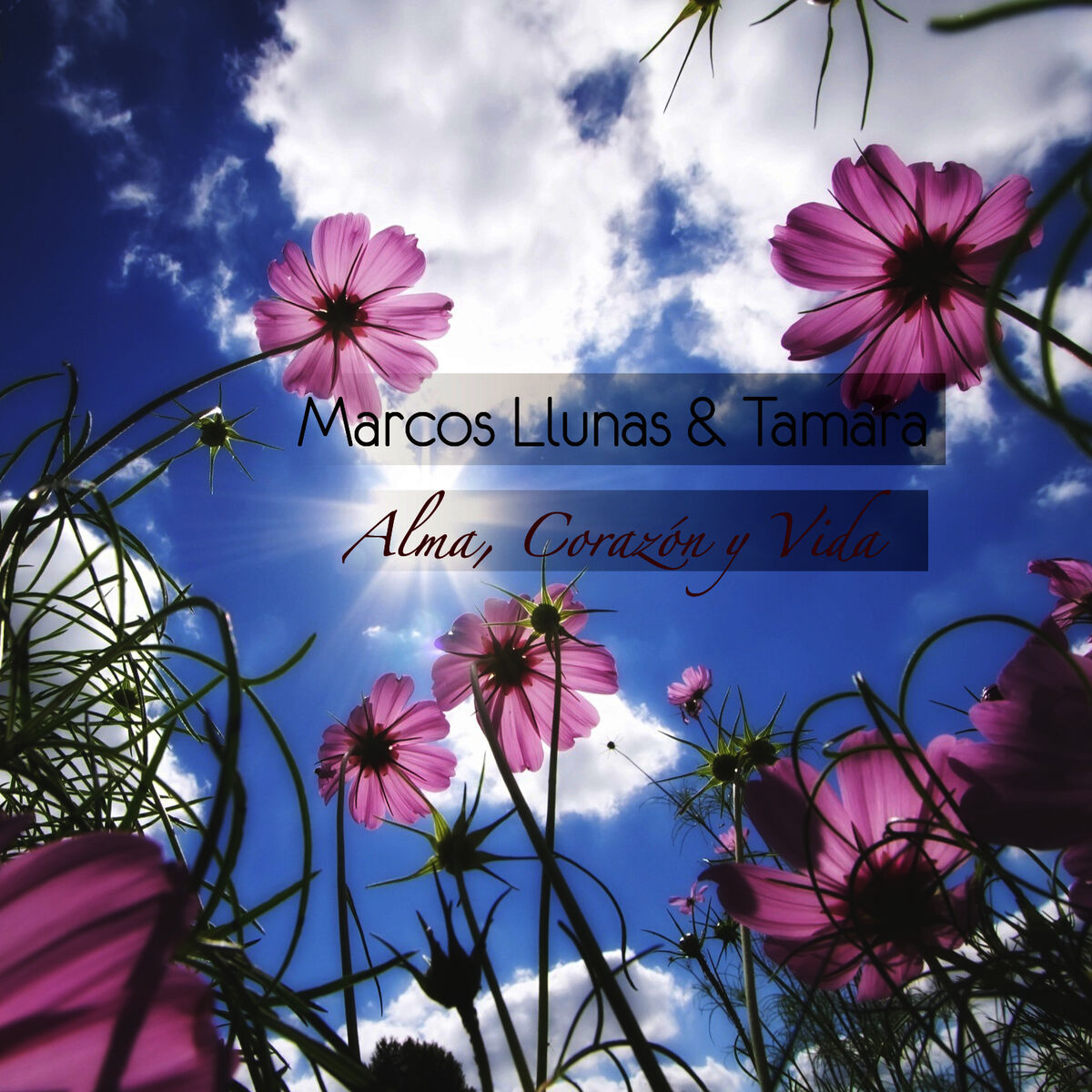 Album cover of Alma, Corazón y Vida