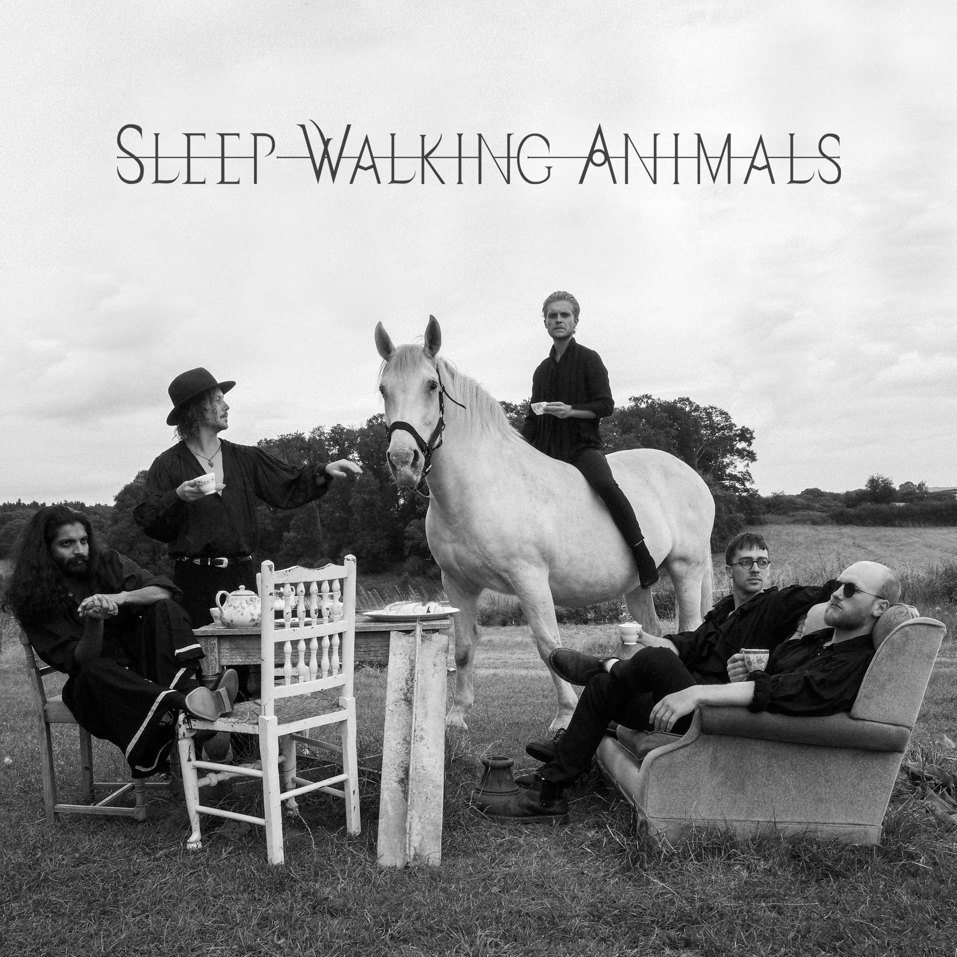 Album cover of Sleep Walking Animals