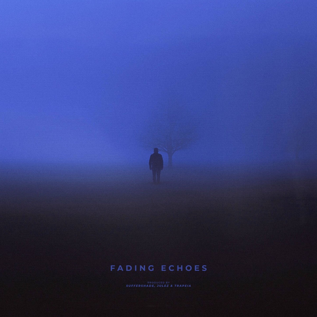 Album cover of fading echoes