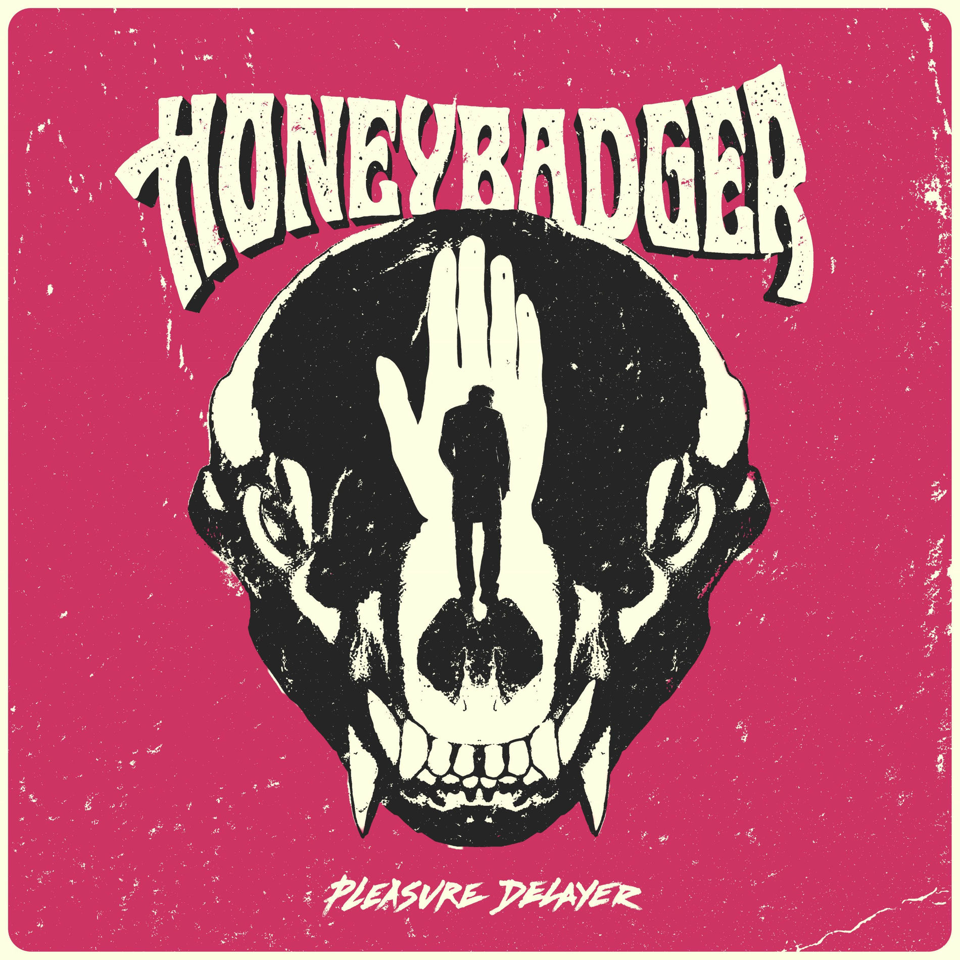 Album cover of Pleasure Delayer