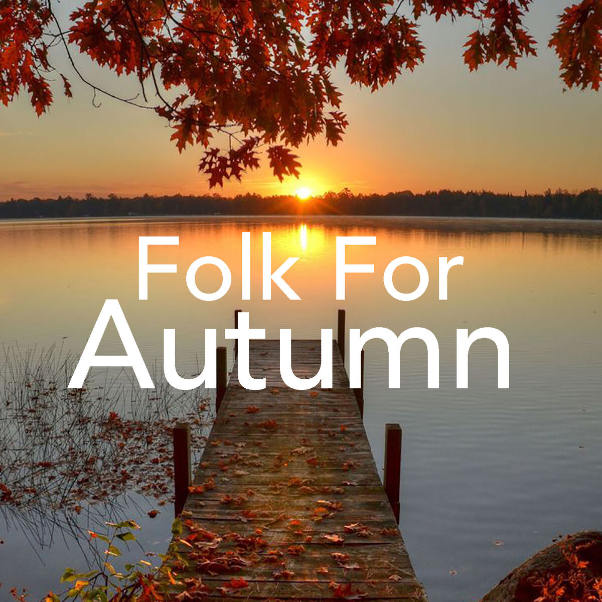 Album cover of Folk For Autumn