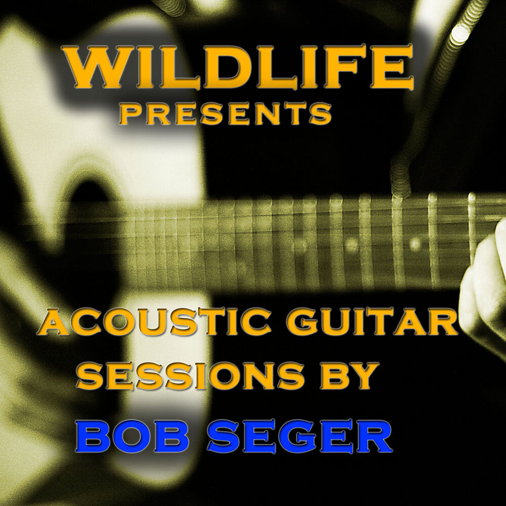 Picture of Acoustic Guitar Melodies: Bob Seger