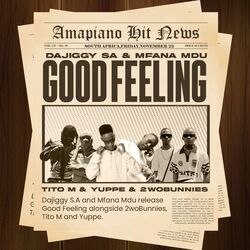 Cover of Good Feeling Revisit