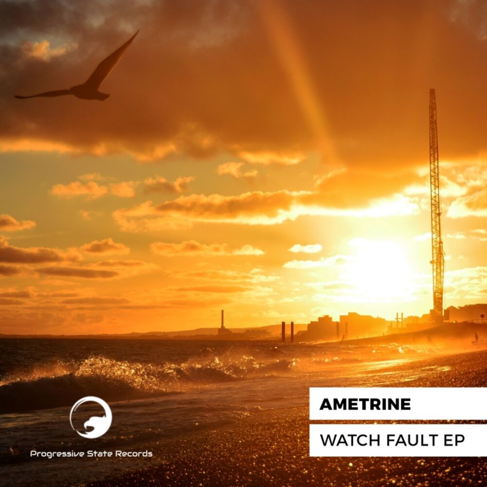 Picture of Watch Fault EP