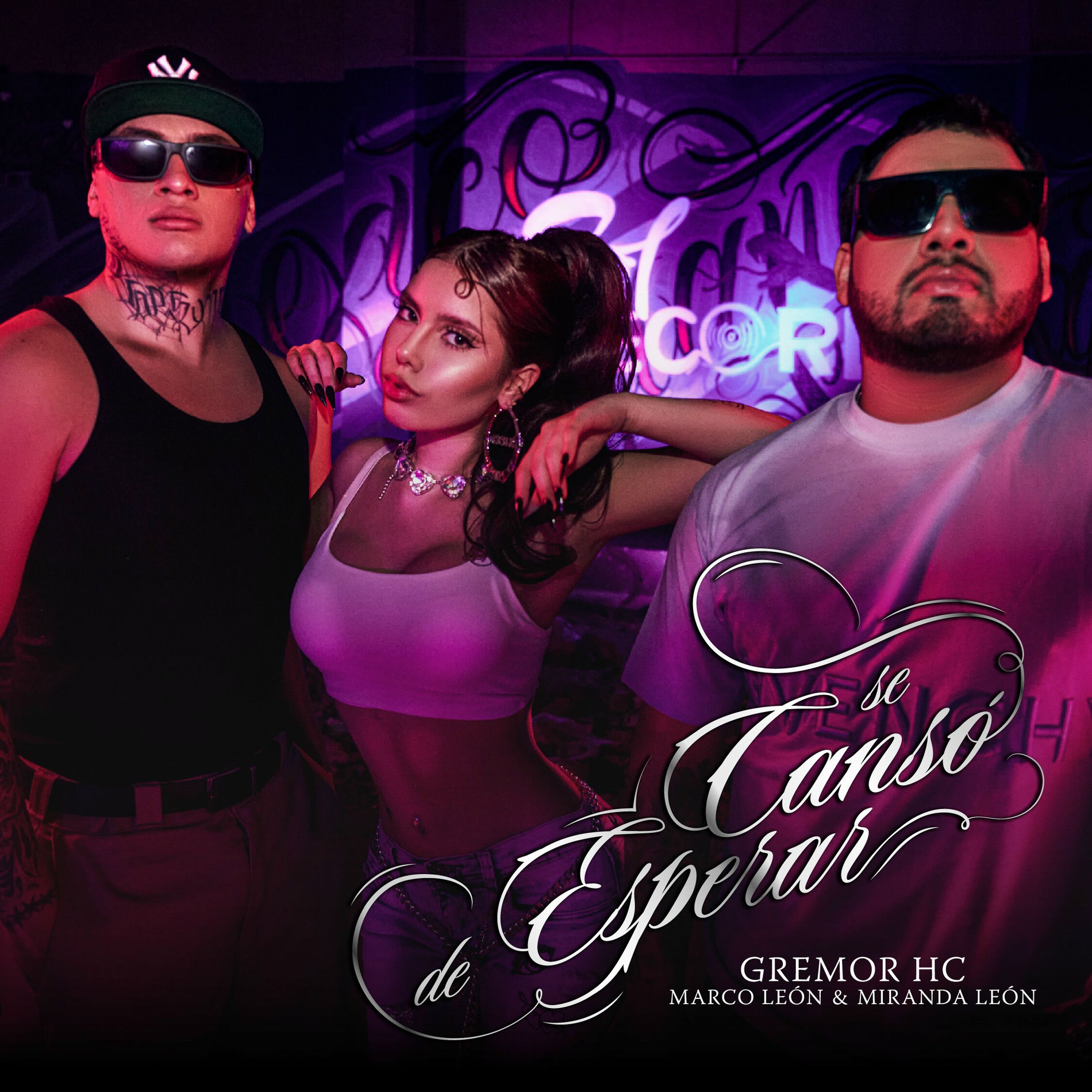 Album cover of Se Cansó de Esperar