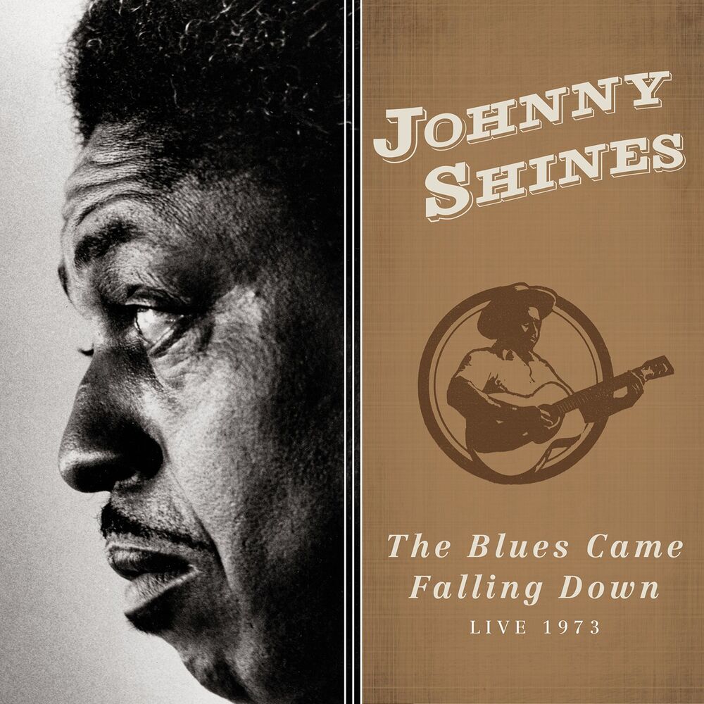 Picture of The Blues Came Falling Down (Live 1973)