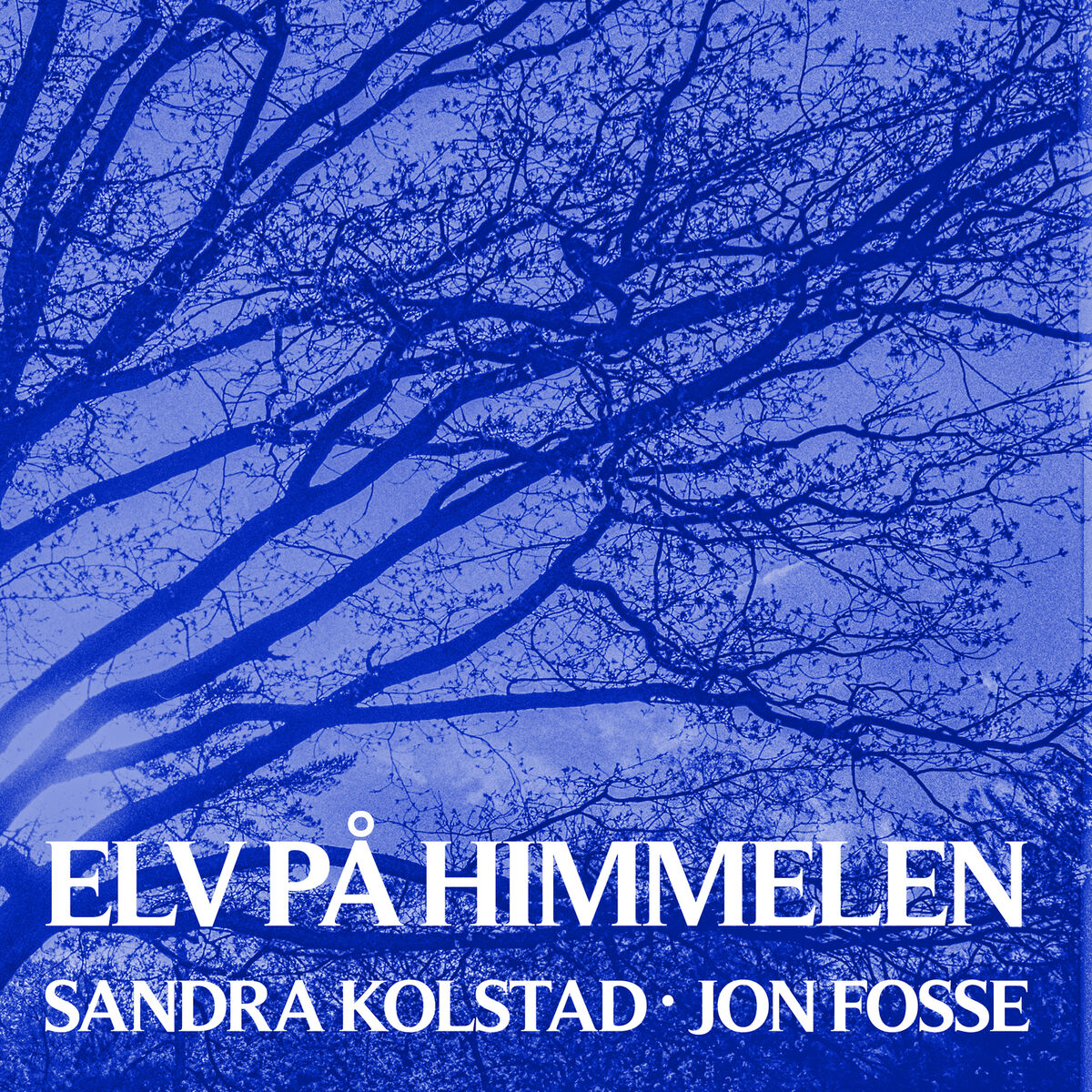 Album cover of Elv på himmelen