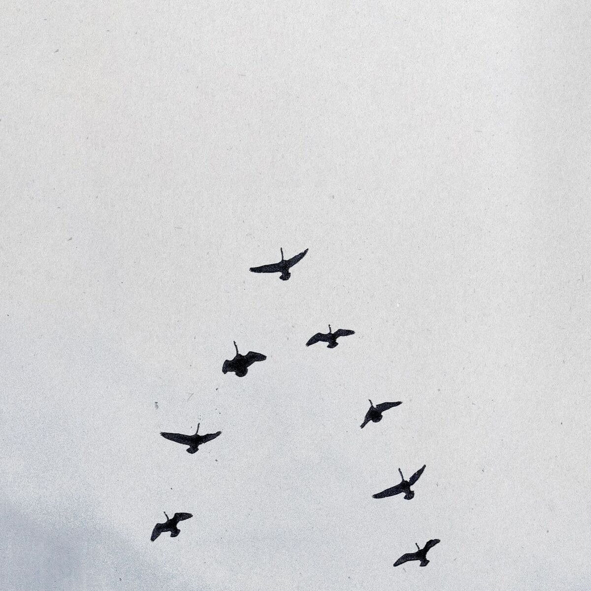 Album cover of GOD