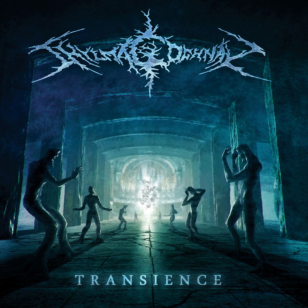 Picture of Transience