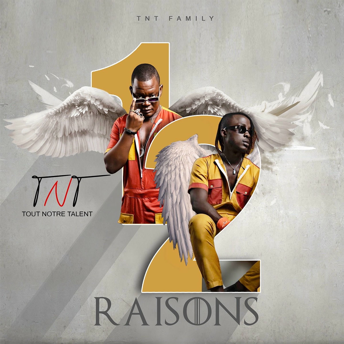 Album cover of 12 Raisons