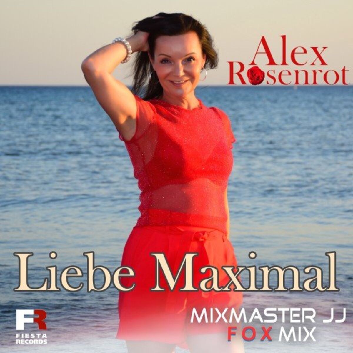 Album cover of Liebe Maximal