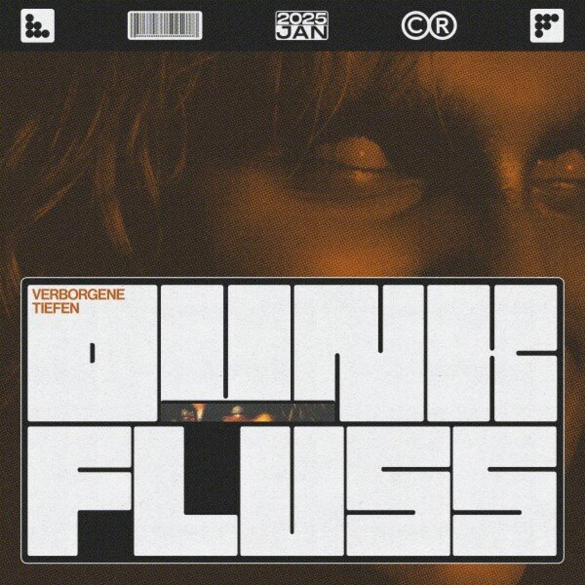 Album cover of Dunk Fluss: Verborgene Tiefen