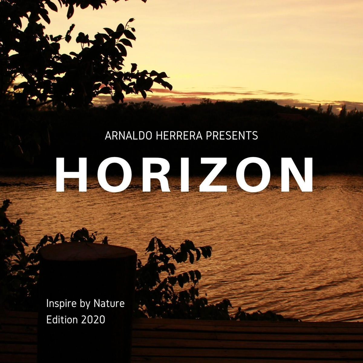 Album cover of Horizon