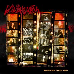 Cover of Remember These Days