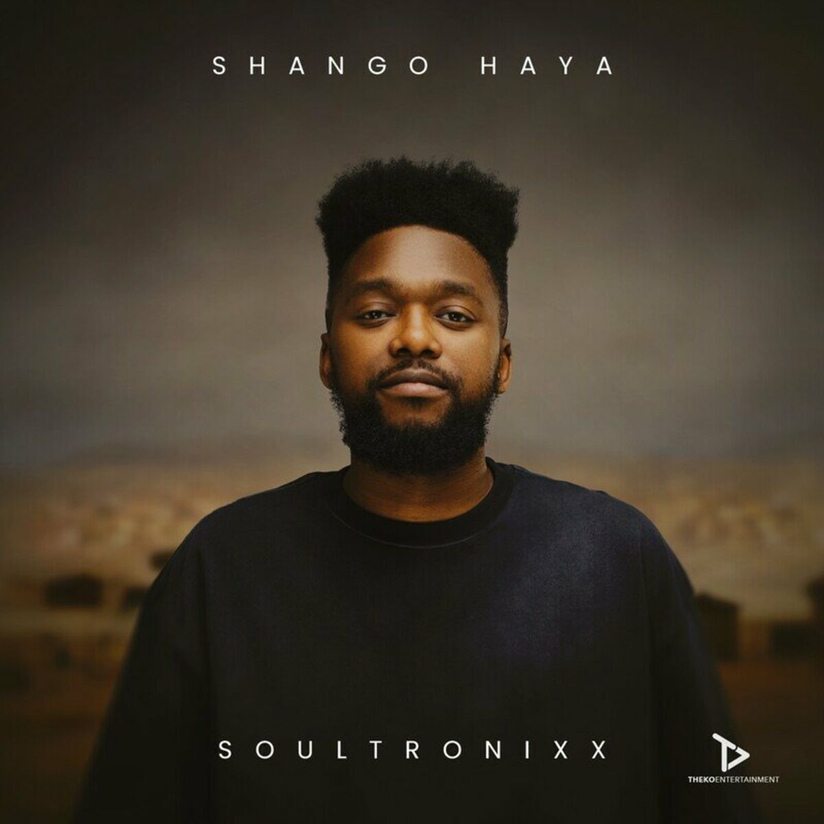 Album cover of Shango Haya