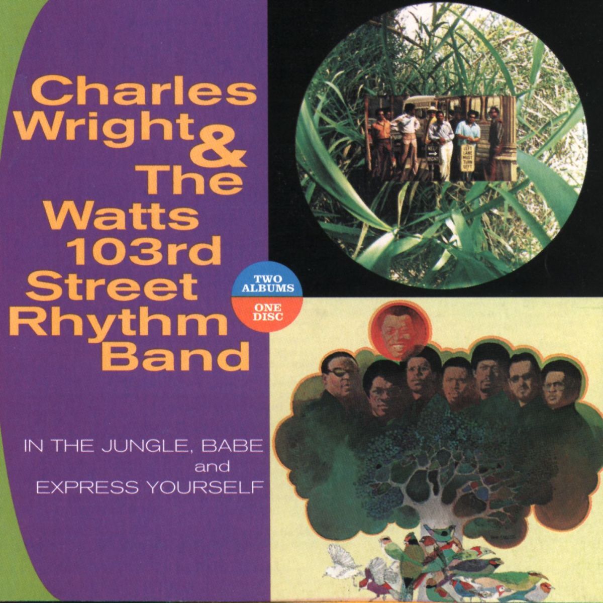 Album cover of In The Jungle, Babe/Express Yourself