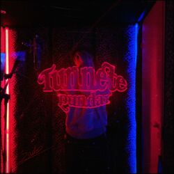 Cover of Tunnete Pundar