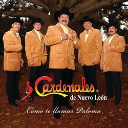 Cover of Cómo Te Llamas Paloma