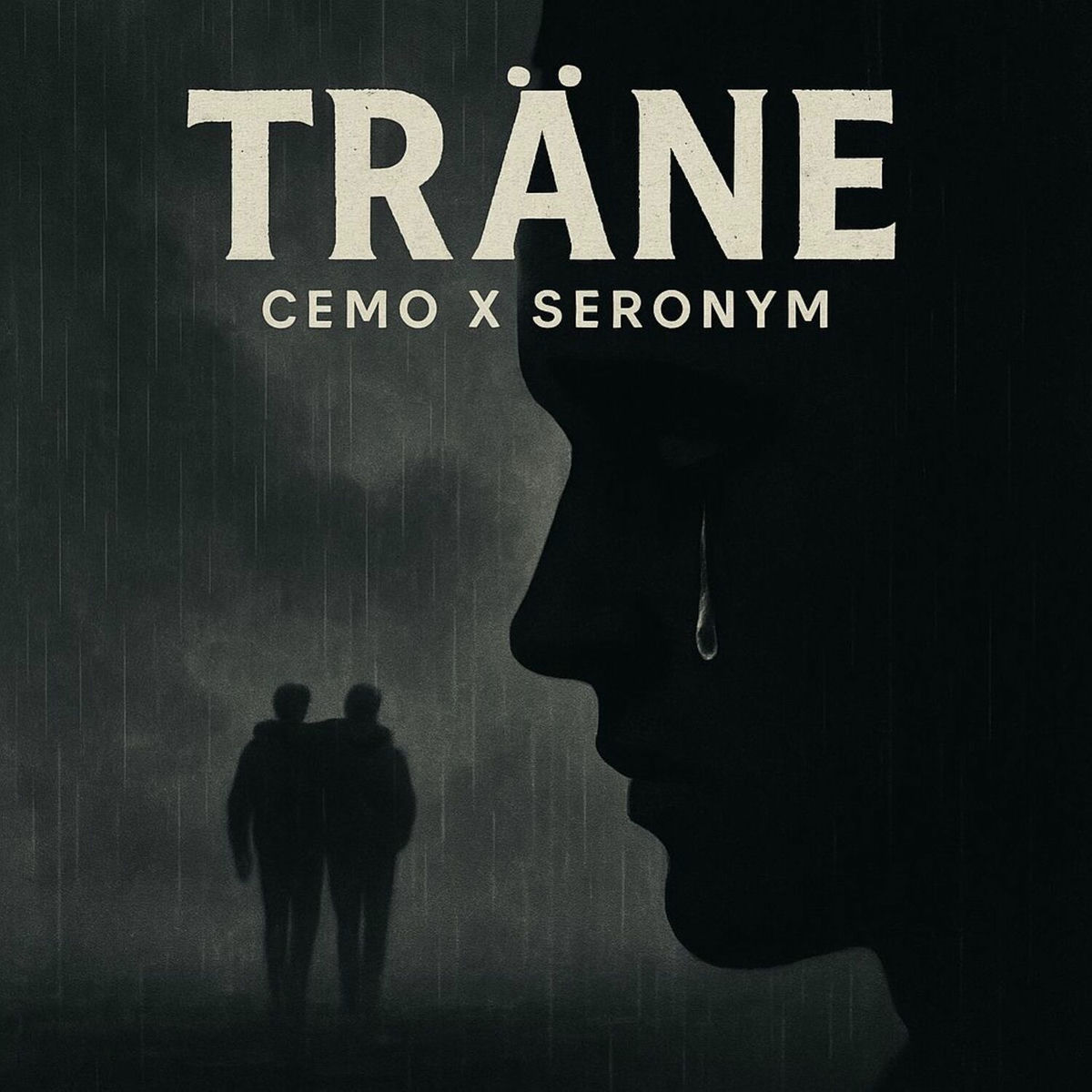 Album cover of Träne