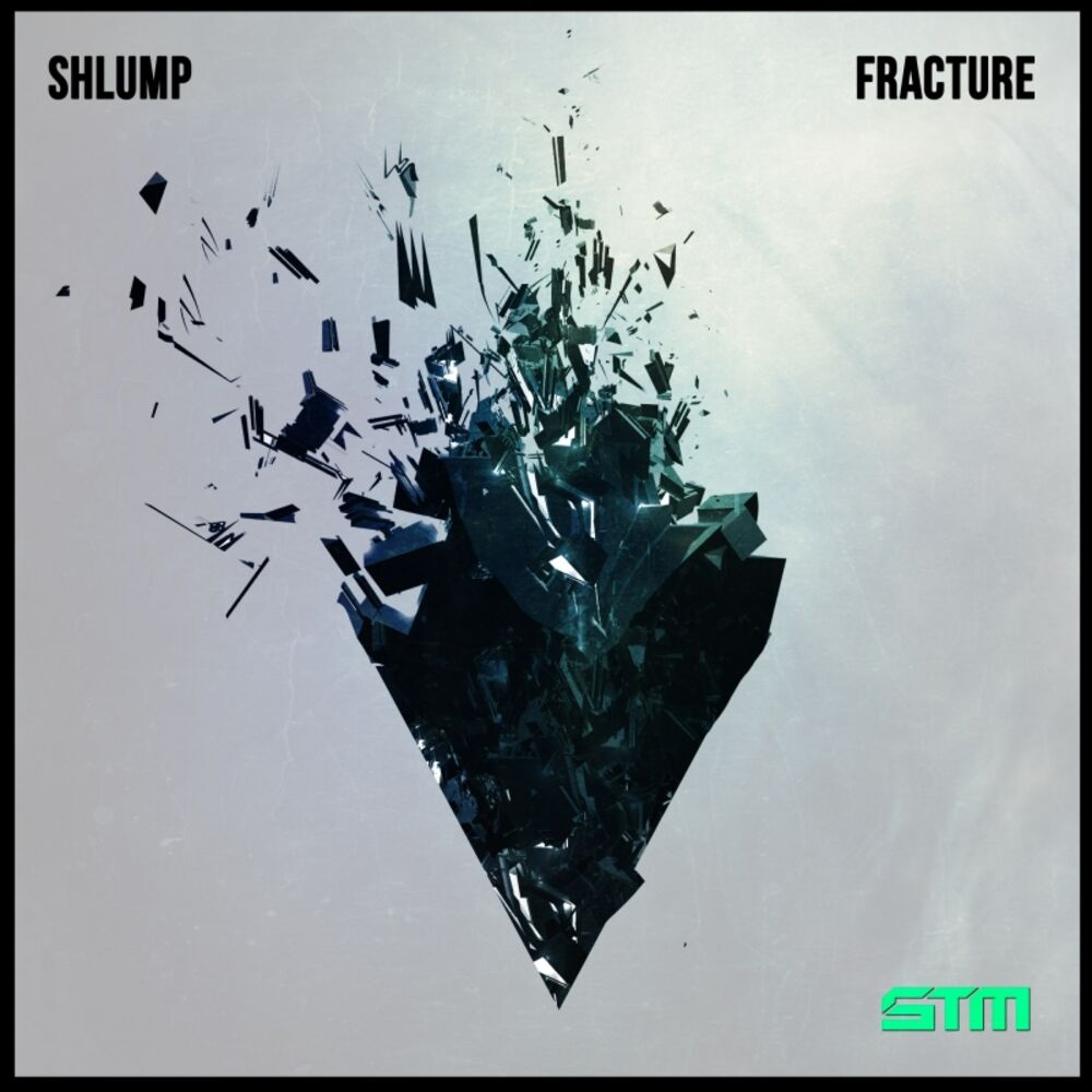 Picture of Fracture