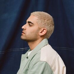 Cover of Duvet Cover
