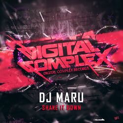Cover of Shake It Down
