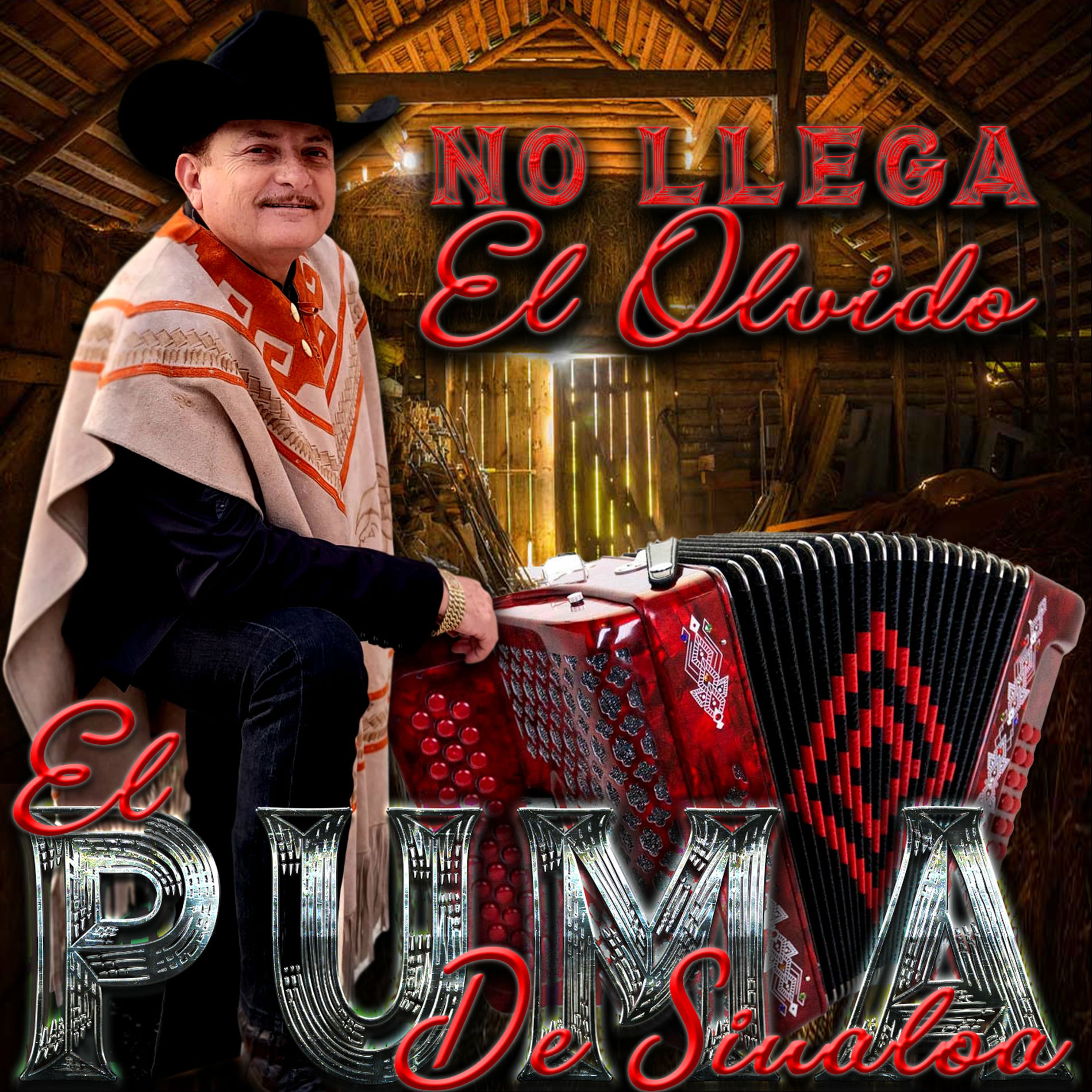Album cover of No Llega el Olvido