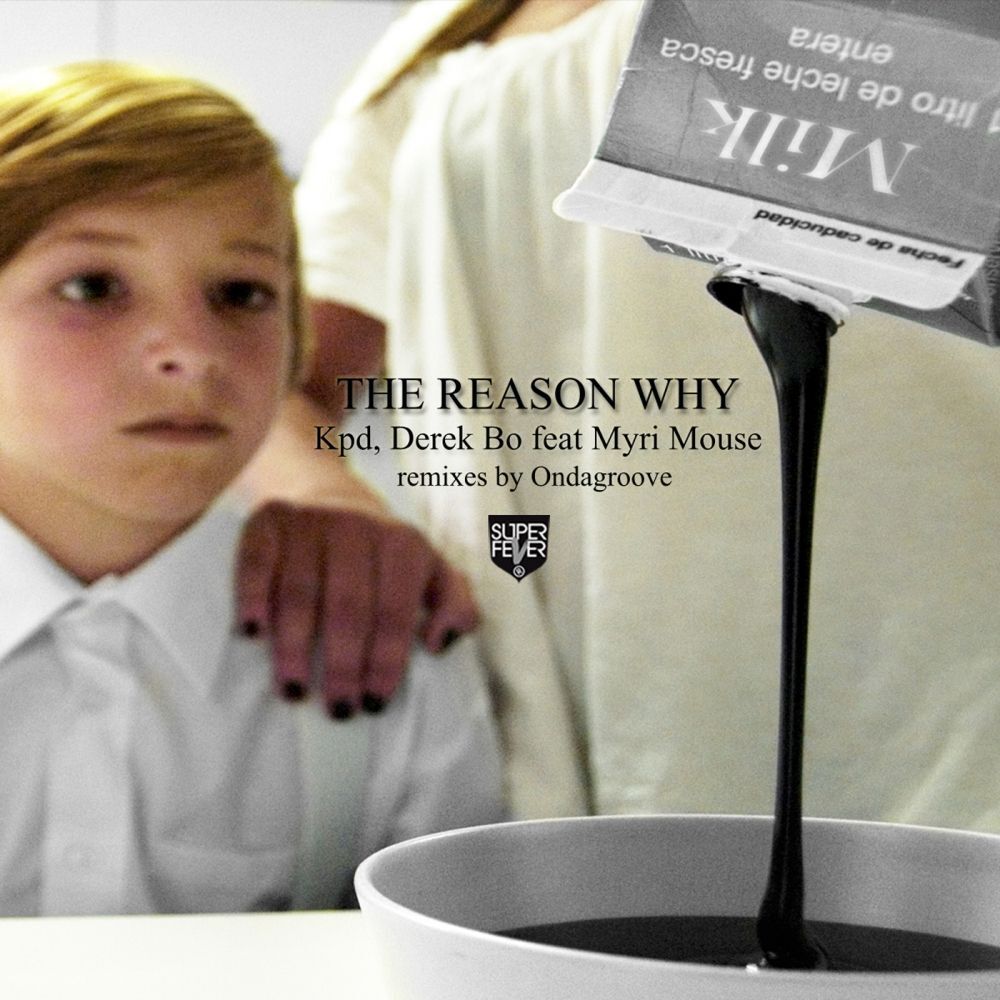 Picture of The Reason Why