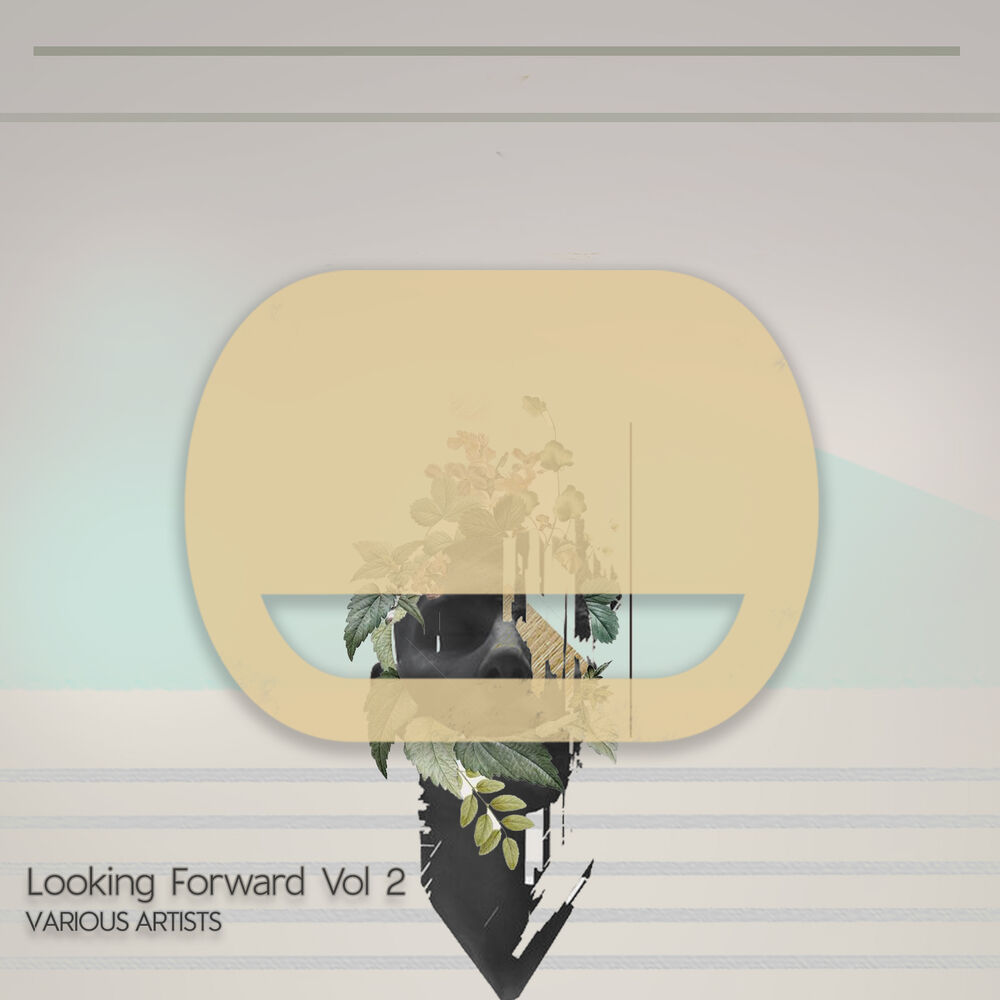 Picture of Looking Forward Vol 2