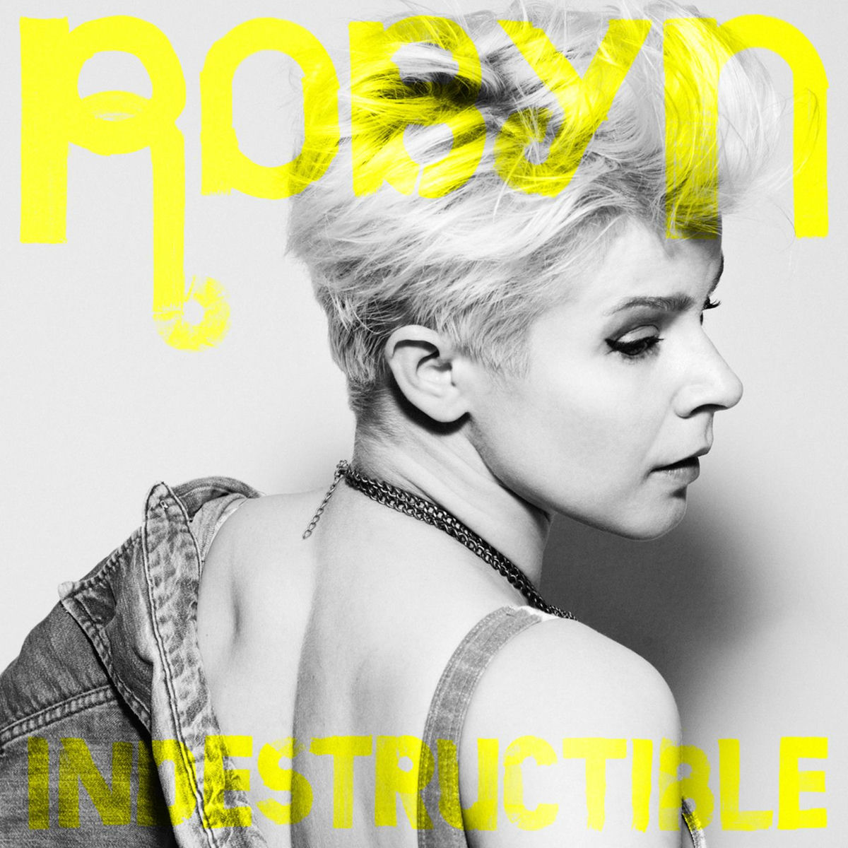 Album cover of Indestructible