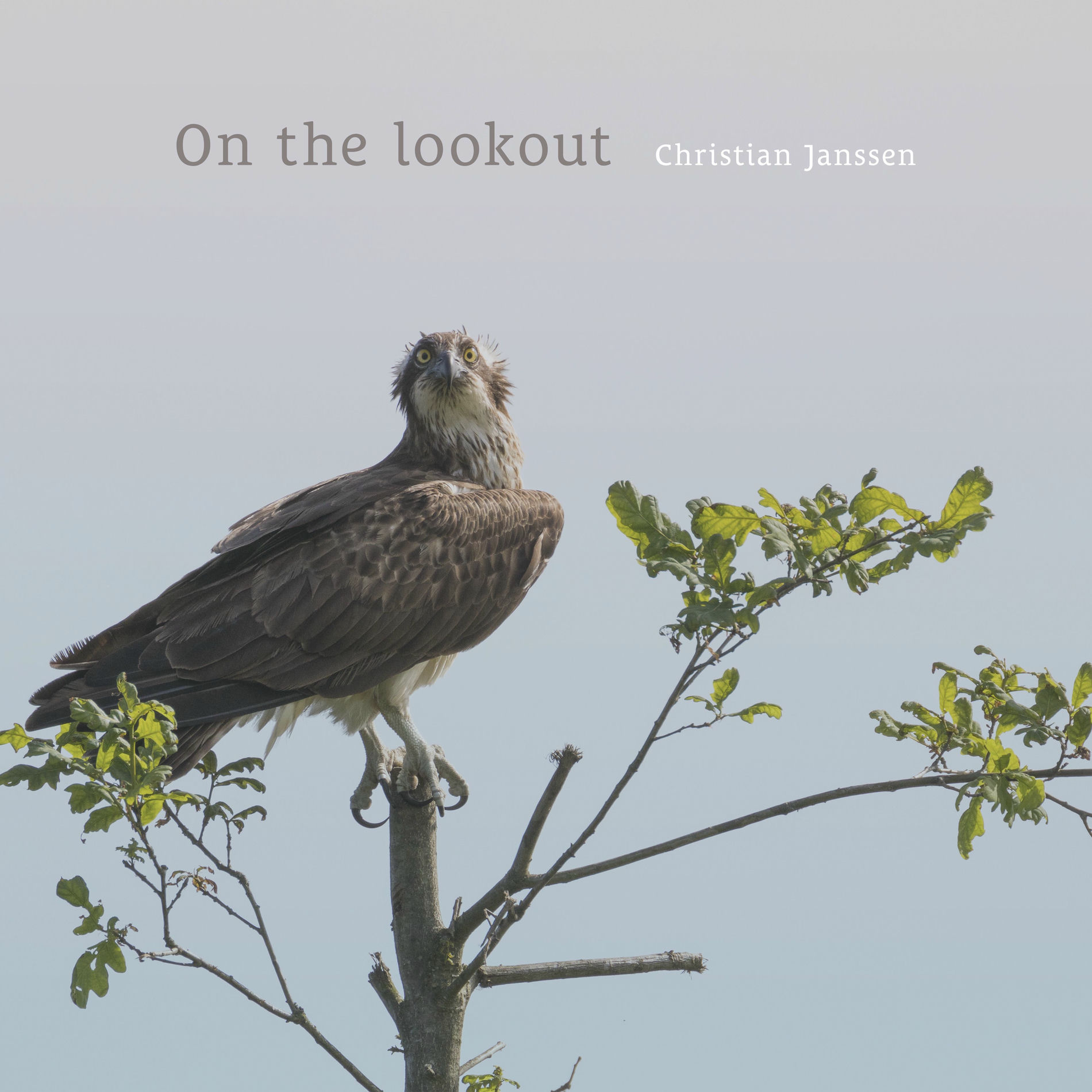 Album cover of On the lookout