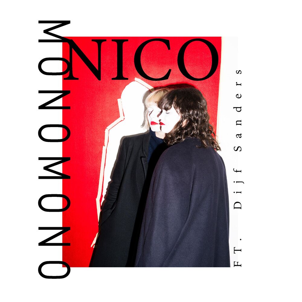 Picture of Nico (feat. Dijf Sanders)