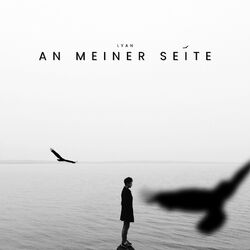 Cover of An Meiner Seite
