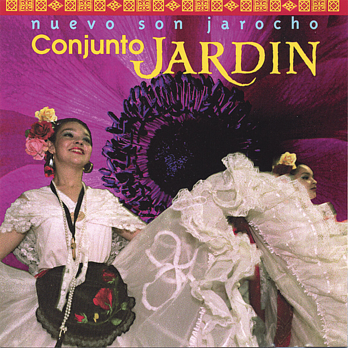 Album cover of Nuevo Son Jarocho