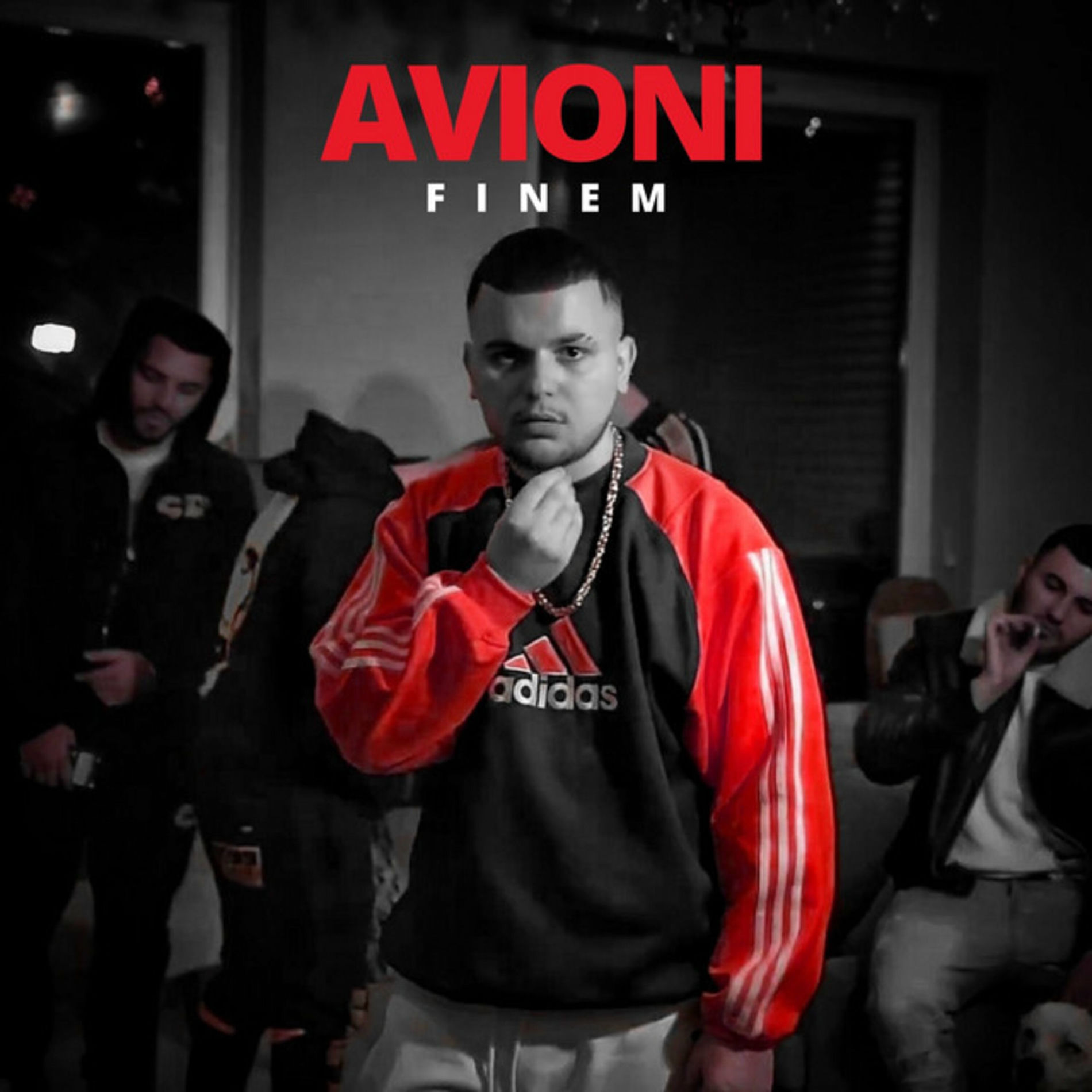 Album cover of Avioni