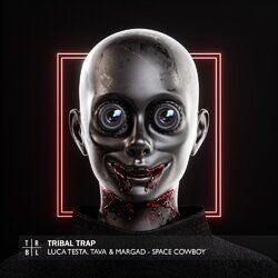 Cover of Space Cowboy
