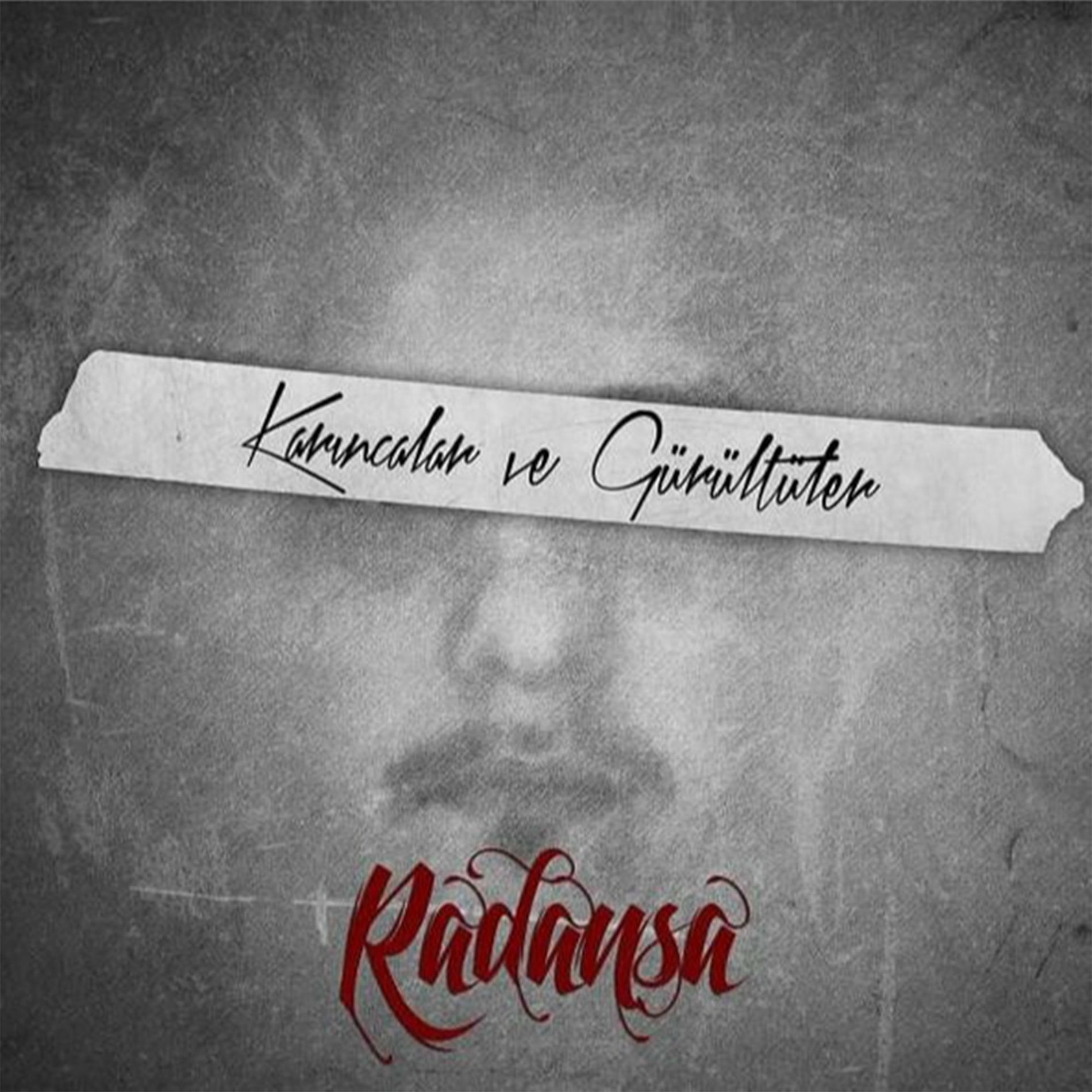 Album cover of Karıncalar ve Gürültüler