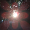 Newsun